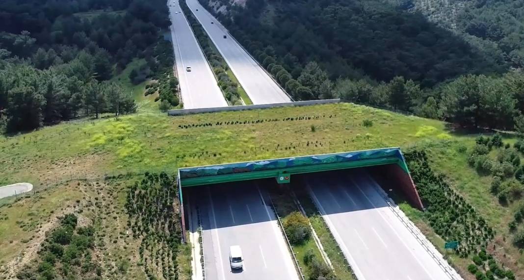 Bakan Uraloğlu sayısını bile verdi: Konya-Aksaray Devlet Yolu'na ekolojik köprü geliyor! 2